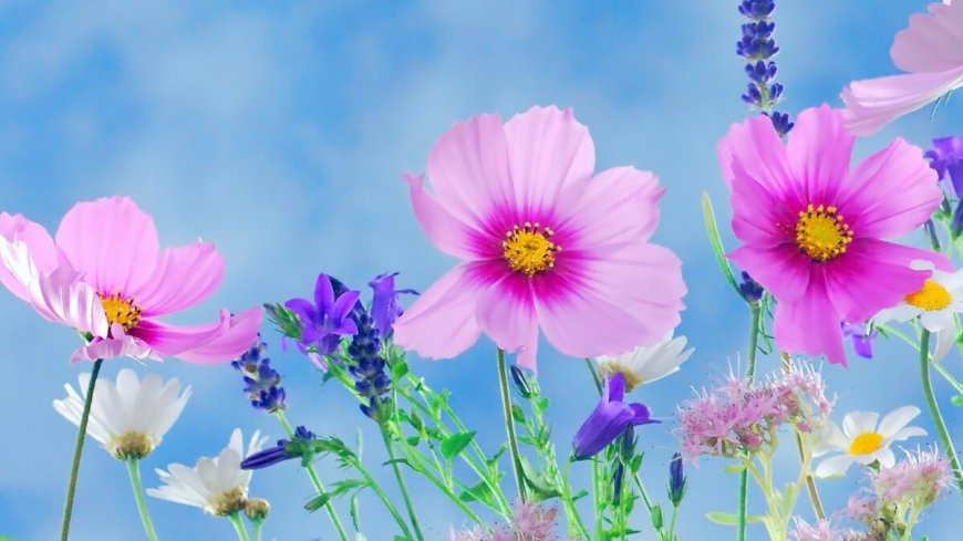 Rüyada Çiçek Görmek: Sevgi, Güzellik ve Büyüme