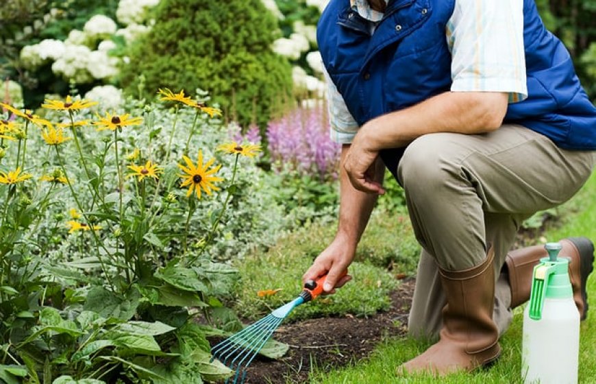Rüyada Bahçıvan Görmek: Bakım, Büyüme ve İyileşme Süreci