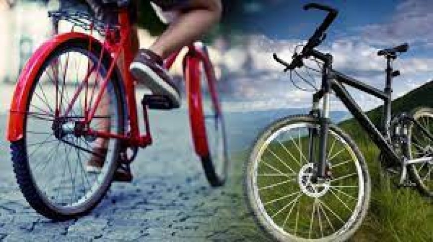 Rüyada Bisiklet Çalmak: Hırsızlık, Suçluluk ve Kötü Niyetler