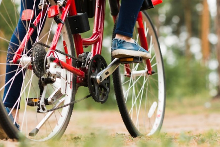 Rüyada Bisiklet Turuna Çıkmak: Özgürlük, Macera ve Aktif Yaşam