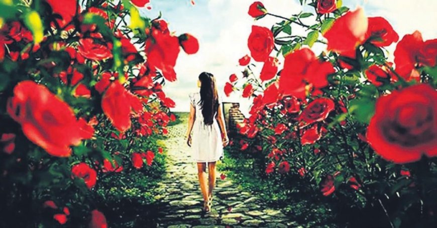 Rüyada Gül Bahçesinde Yürümek: Sevgi, Güzellik ve İyilik